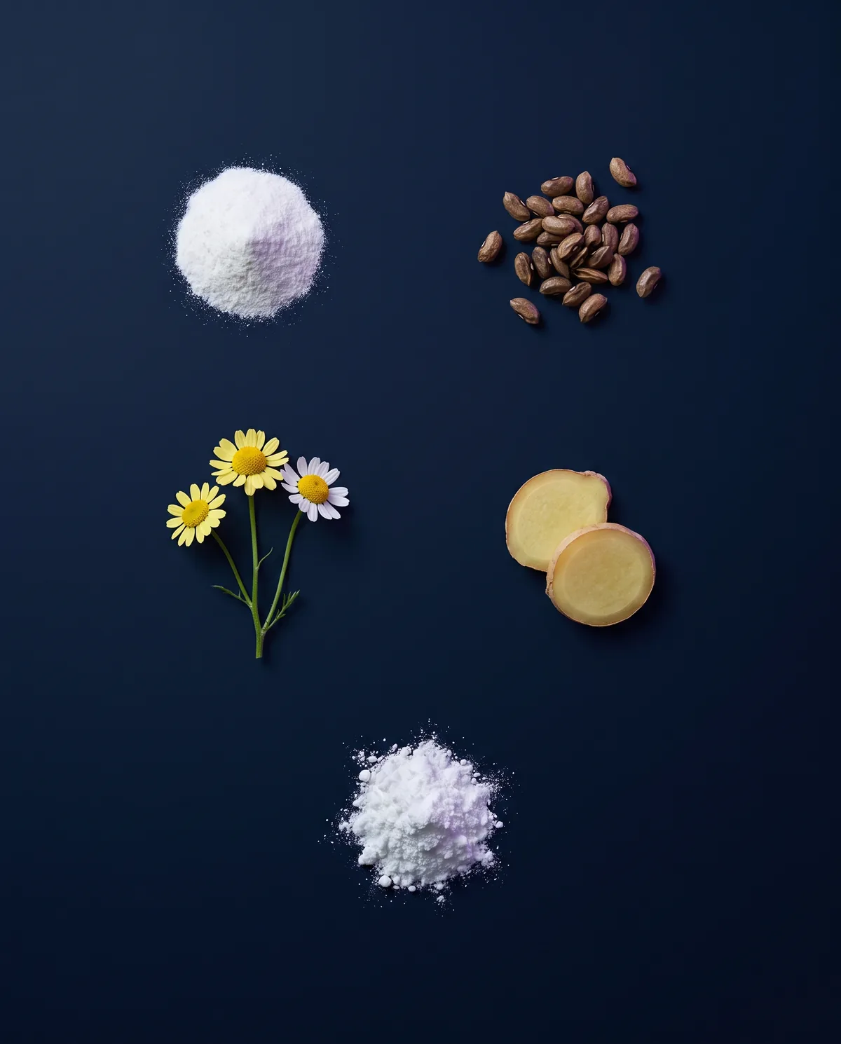 Guar beans, chamomile flowers, ginger slices and two small mounds of powder on a midnight-blue backdrop